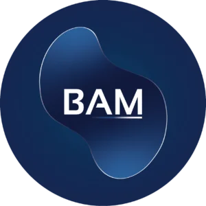 Boston Asset Manager